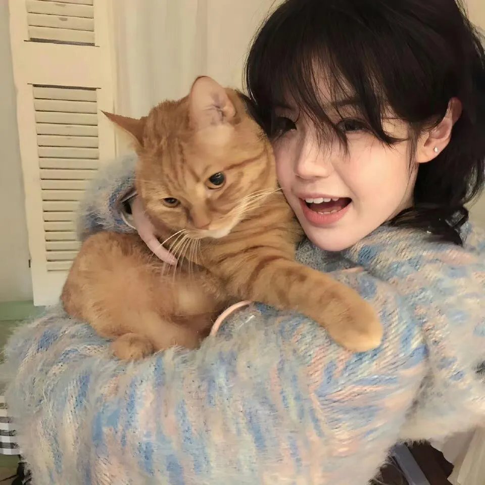 蓝猫淘气三千问